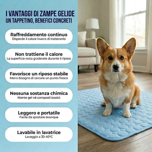 Zampe Gelide